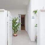 Majamy House Olbia