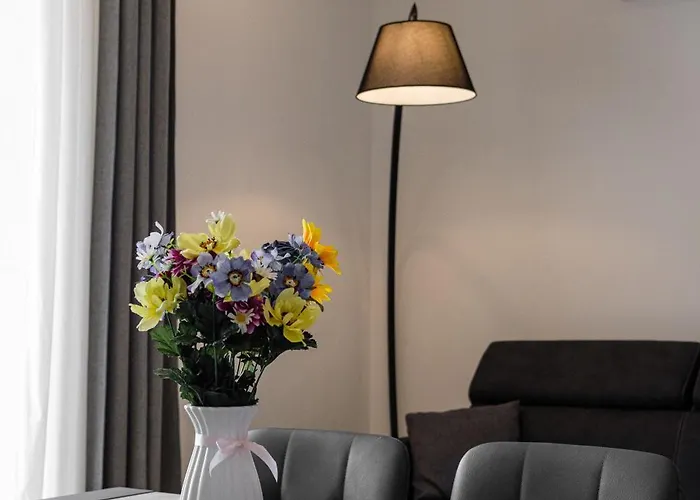 Gasthuis Majamy House *