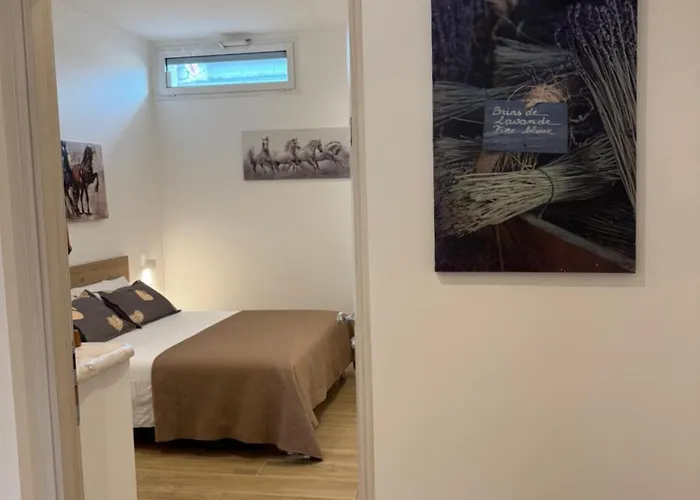 Gasthuis Majamy House